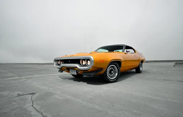 Picture 1971, Plymouth, Plymouth, Road Runner, the road runner