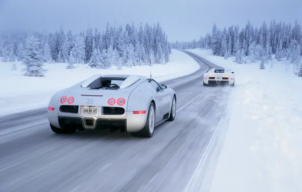 Picture winter, snow, Bugatti, Veyron, Winter, White, Drive
