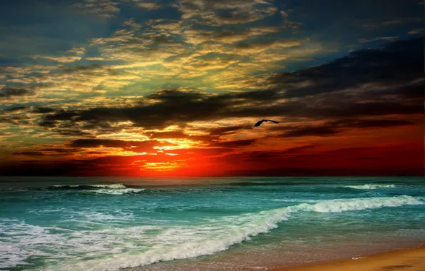 Picture sand, sea, beach, sunset, shore, beach, sea, sunset, sand, shore, paradise, tropical