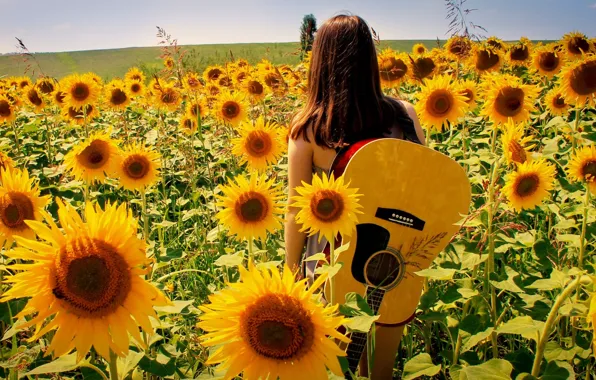 Picture summer, girl, sunflowers, nature, music, guitar
