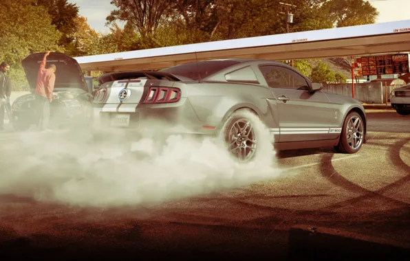 Picture Mustang, Ford, Shelby, Mustang, muscle car, Ford, muscle car, gt500, 2013