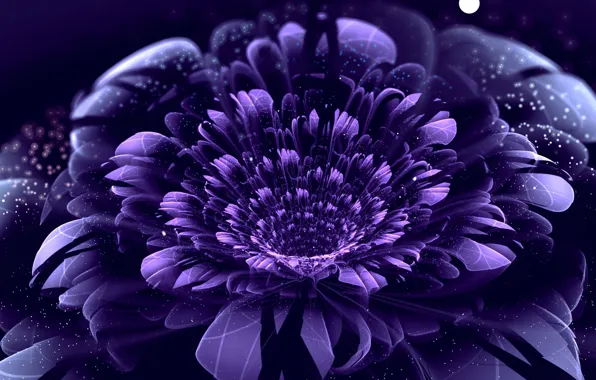 Picture flower, purple, circles, point, petals