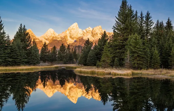 Picture forest, the sky, clouds, mountains, reflection, river, morning, USA, national Park, Grand Teton, Wyoming