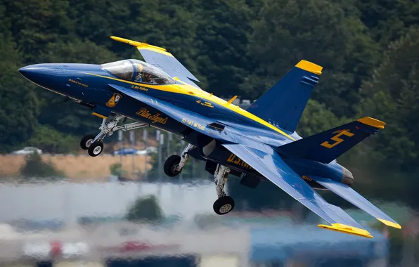Picture fighter, the blue angels, f-18