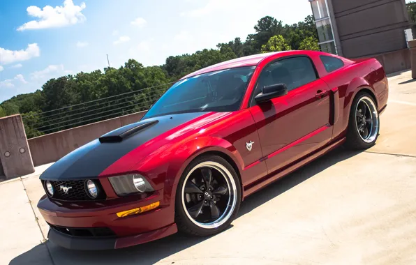 Picture Ford, mustang, 2005, -2009