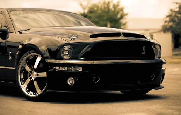 Picture black, Mustang, Ford, Shelby, GT500, Mustang, muscle car, black, Ford, Shelby, muscle car