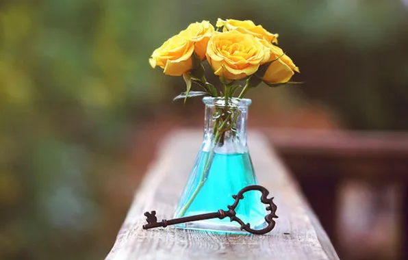 Picture key, roses, bottle, yellow roses