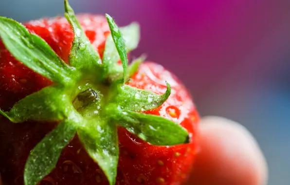 Picture drops, macro, strawberry, Colorful, Strawberry, the fruit