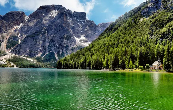 Picture forest, trees, landscape, mountains, nature, lake, Italy, Italy, Lake Carezza
