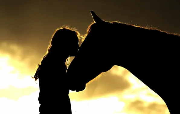 Picture girl, horse, silhouettes
