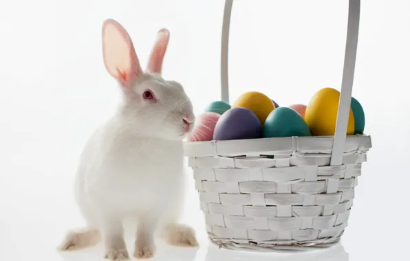 Picture basket, egg, rabbit, Easter, easter