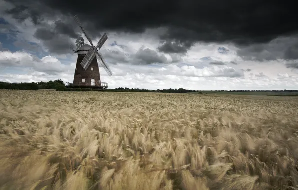 Picture storm, windmill, wind, wheat, countryside, wheat field, farmland