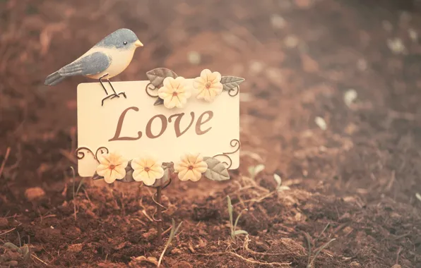 Picture leaves, flowers, nature, background, bird, Wallpaper, mood, love, bird, flowers, lugovi