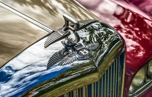 Picture retro, Bentley, grille, emblem