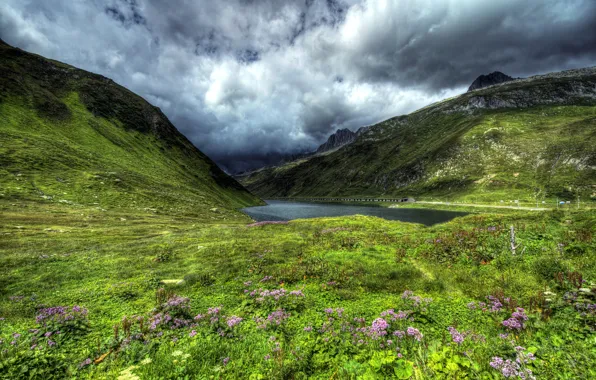 Picture road, grass, clouds, flowers, mountains, lake, Switzerland, slope, hdr, Lake Oberalp