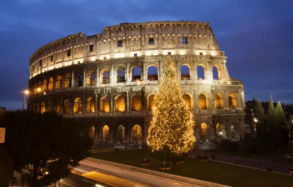 Picture tree, Rome, Colosseum