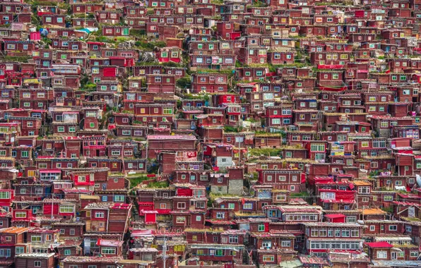 Picture the city, China, houses, Sichuan province, Kangding Tibetan Autonomous Okrug, Larung Gar
