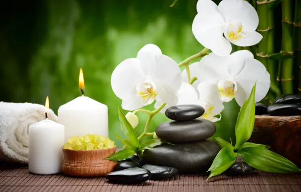 Picture flower, stones, candles, bamboo, black, Orchid, flowers, black, Spa, orchid, stones, bamboo, candles, spa, massage, …
