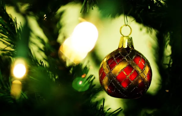 Picture needles, photo, background, mood, holiday, Wallpaper, toy, tree, new year, picture
