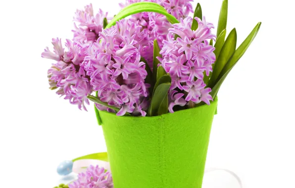 Picture flowers, background, vase handbag, purple Hyacinths