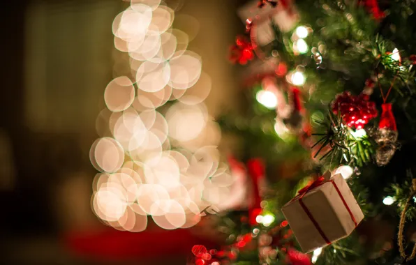 Picture light, gift, tree, new year, Christmas, bokeh