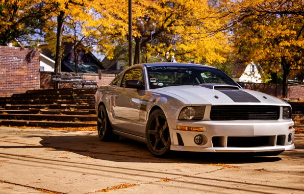 Picture Mustang, Ford, Mustang, 2012, Ford, Roush, 427R