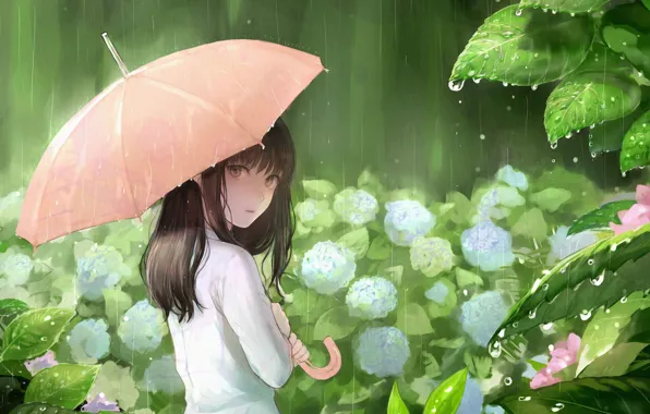 Picture leaves, drops, rain, umbrella, girl, hydrangea, sankarea