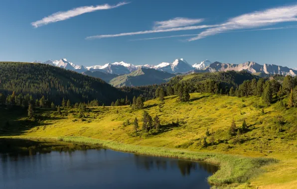 Picture forest, trees, mountains, lake, Switzerland, Alps, Switzerland, Alps, Sewenseeli lake, Entlebuch, Entlebuch