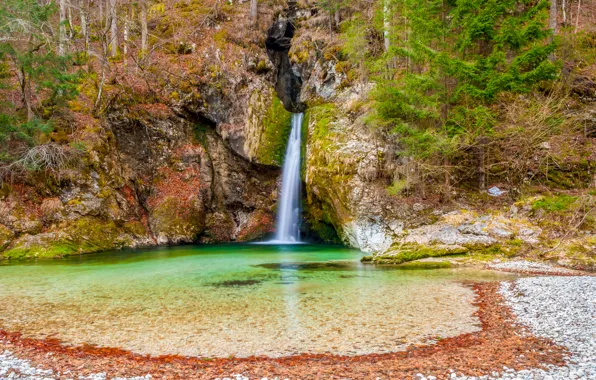 Picture forest, rock, stones, waterfall, moss, Slovenia, Bohinj, Grmecica waterfall
