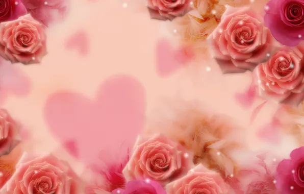 Picture flower, flowers, background, heart, roses, sequins, heart