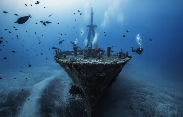 Picture ship, the bottom, the diver