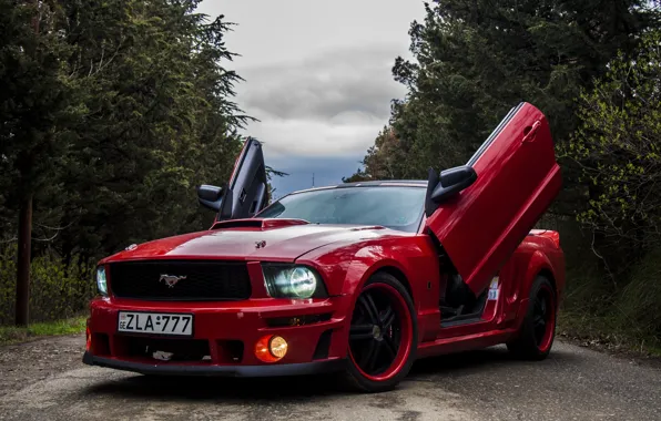 Picture road, forest, red, tuning, Ford, door, the hood, red, Ford Mustang, drives, ZLA