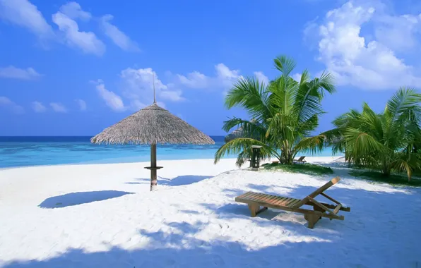 Picture sand, beach, summer, palm trees, the ocean, chaise, canopy, Bahamas