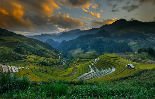 Picture the sky, clouds, mountains, hills, field, Vietnam, Mu Cang Chai District