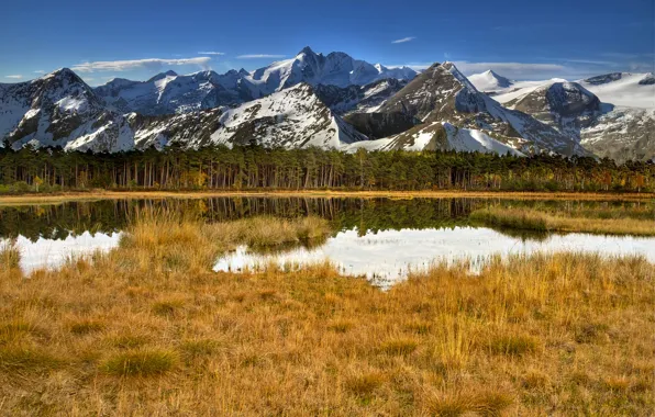 Picture forest, the sky, grass, water, snow, trees, mountains, lake
