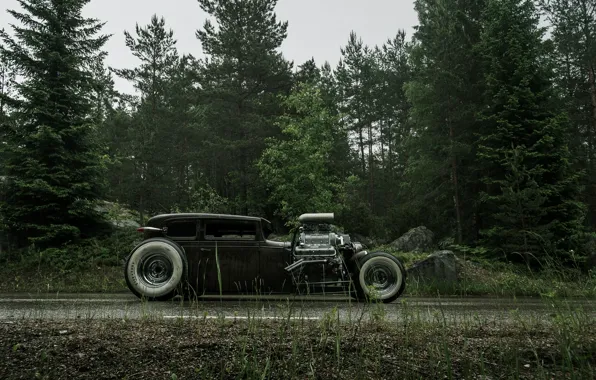 Picture Road, Chevrolet, Forest, Wet, Hot Rod, Chevy, Rat Rod, Side, 540ci, Roadside