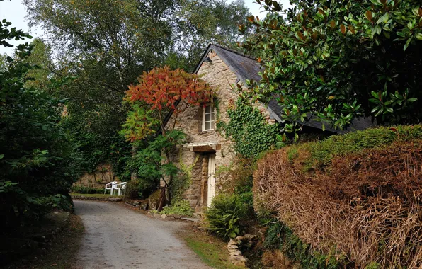 Picture road, trees, house, France, Brittany
