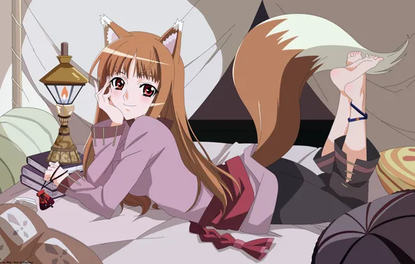 Picture tail, ears, spice and wolf, spice and wolf, holo, horo