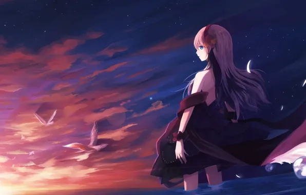 Picture the sky, girl, the sun, clouds, sunset, birds, anime, art