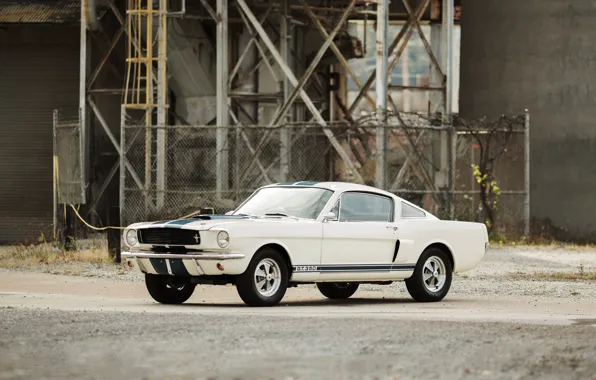 Picture Mustang, Ford, Shelby, Mustang, Ford, Shelby, 1966, GT350
