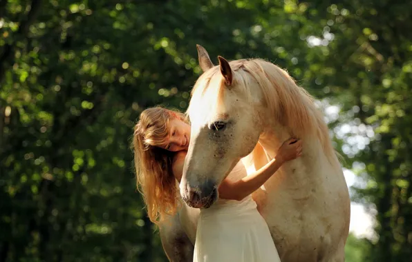Picture summer, girl, mood, horse