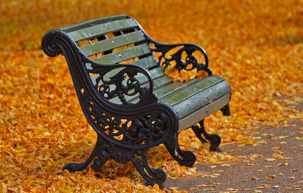 Picture autumn, leaves, London, bench, Regents Park