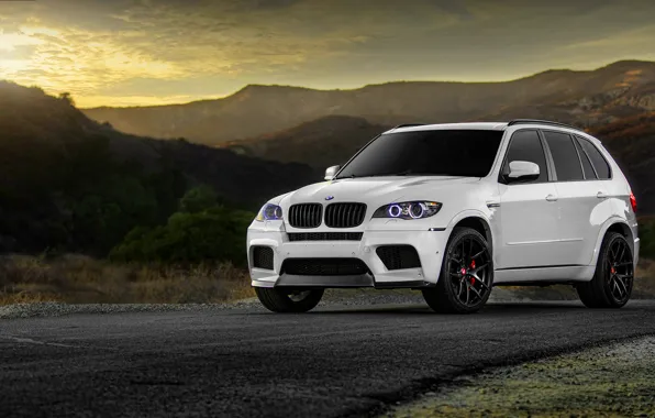 Picture BMW, BMW, white, wheels, tuning, X5M