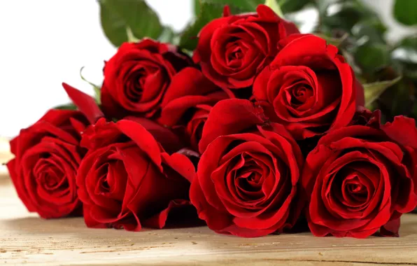 Picture roses, red, red, flowers, romantic, roses, with love