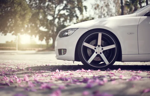 Picture asphalt, macro, glare, spring, petals, wheel, BMW, nose, white, drives, 3Series, bokeh, the front part
