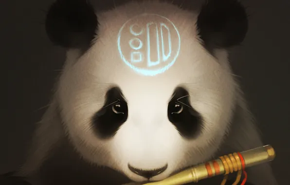 Picture look, bear, art, Panda, flute