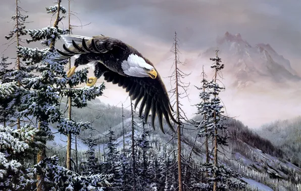 Picture forest, snow, mountains, eagle