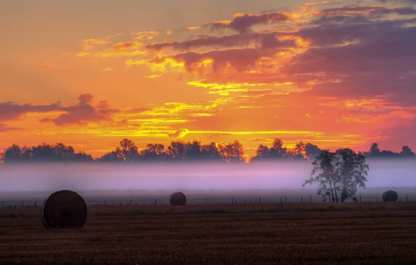 Picture field, clouds, trees, sunset, fog, the fence, silhouette, the countryside, farm, hay, yellow sky