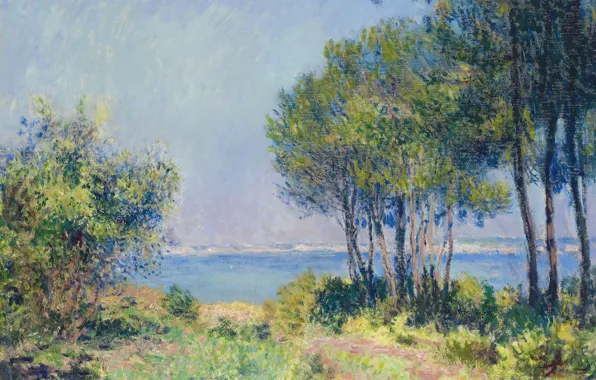 Picture landscape, picture, Claude Monet, Fir in Varangeville