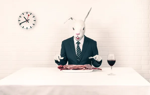 Picture rabbit, lunch, rabbit